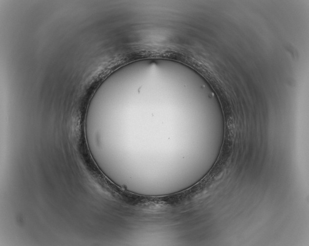 X0000115050642200911091426