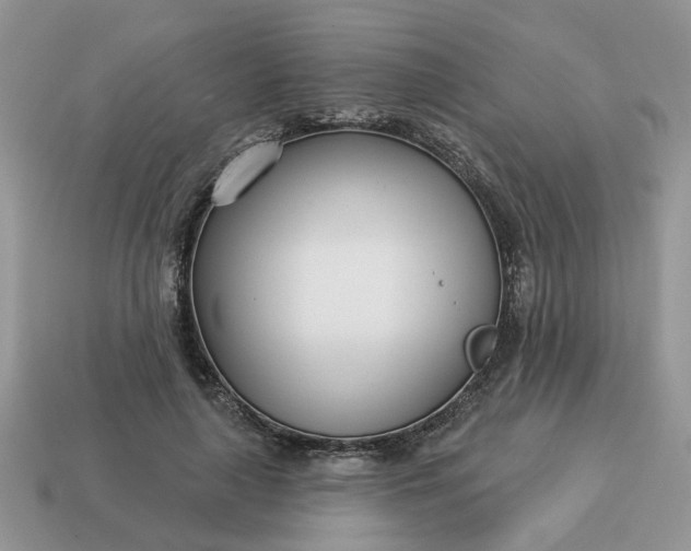 X0000115050643200911091426
