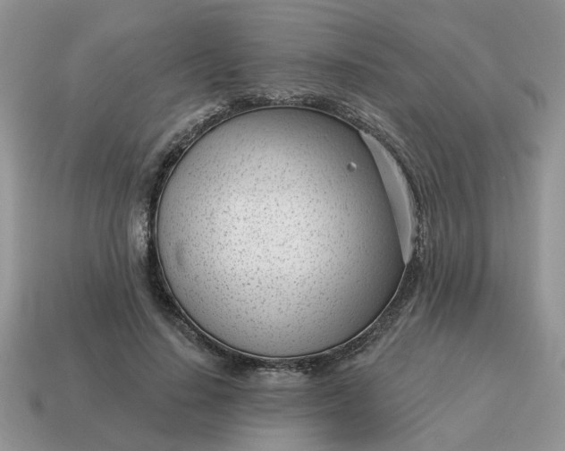 X0000115050644200911091426
