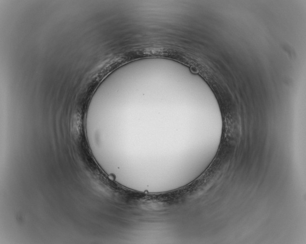 X0000115050648200911091426