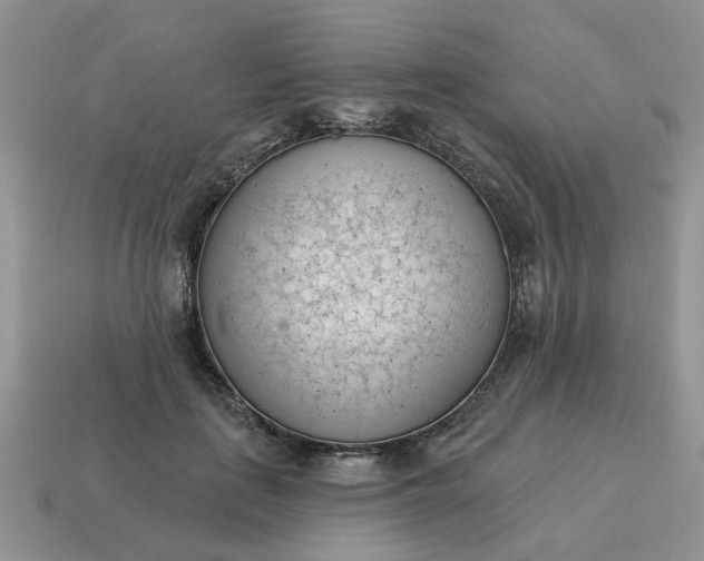 X0000115050651200911091426