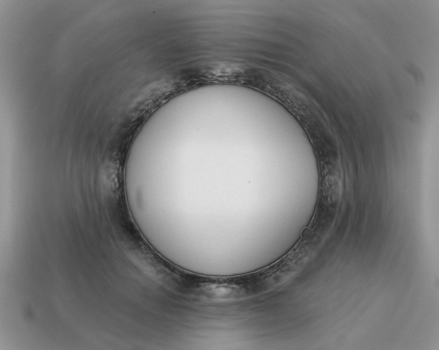 X0000115050654200911091426