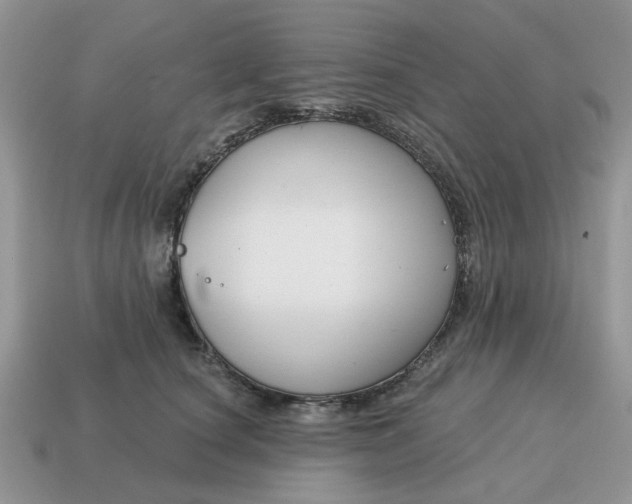 X0000115050660200911091426
