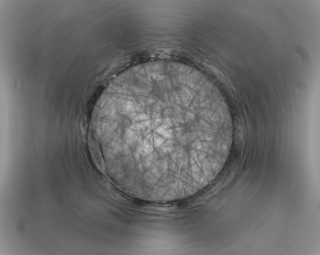 X0000115050661200911091426