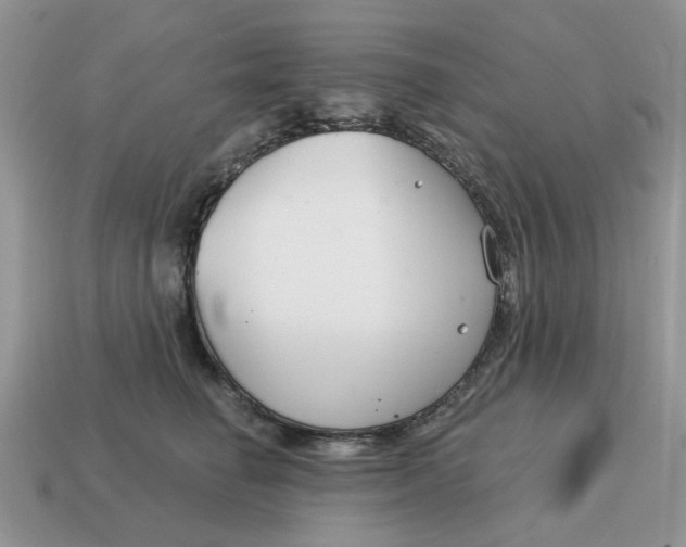 X0000115050662200911091426