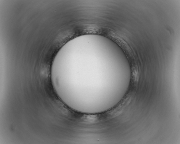 X0000115050665200911091426