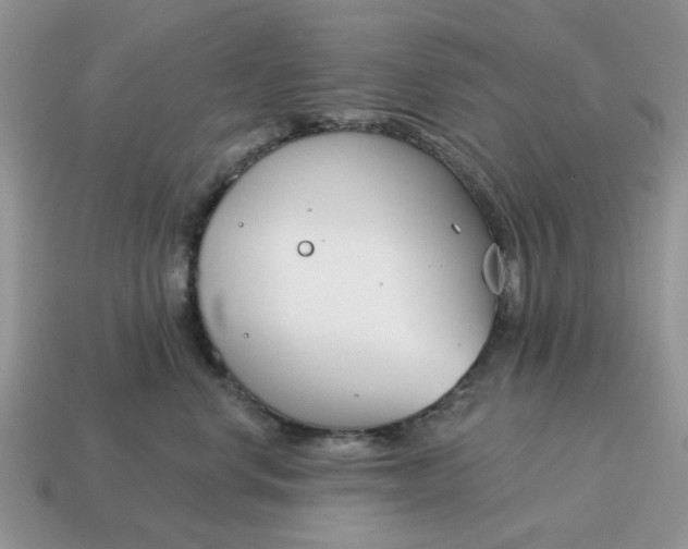 X0000115050668200911091426