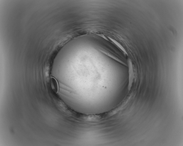 X0000115050670200911091426