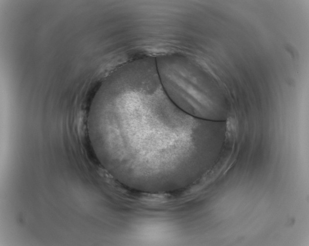X0000115050671200911091426