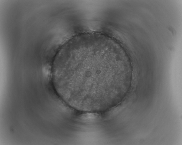 X0000115050672200911091426