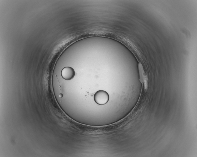 X0000115050675200911091426