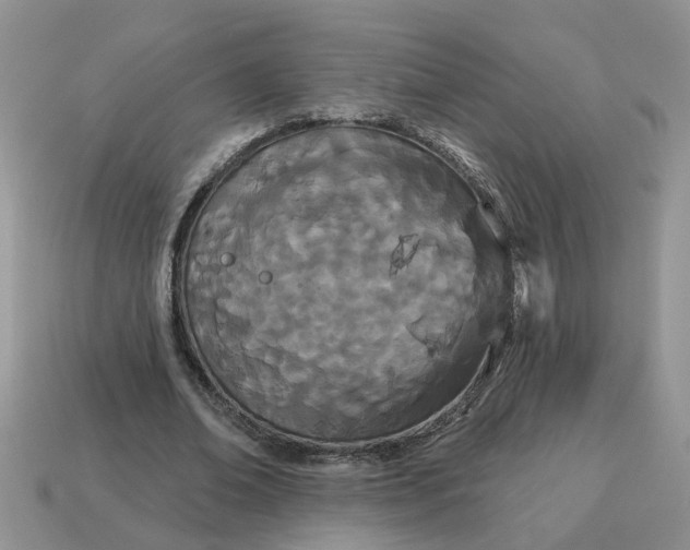 X0000115050678200911091426