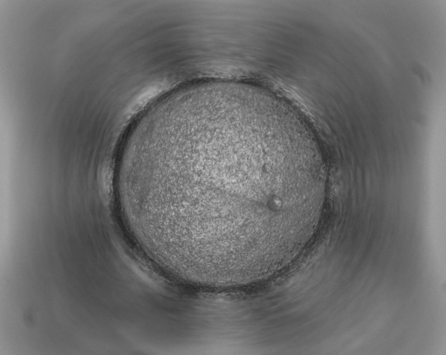 X0000115050679200911091426