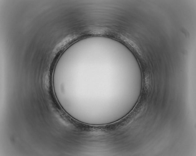 X0000115050682200911091426