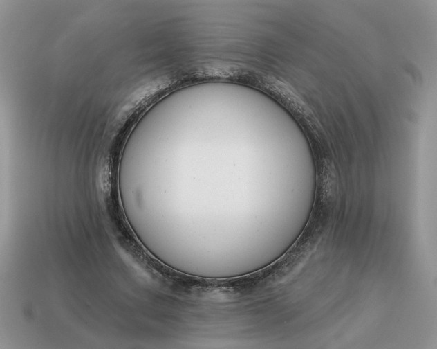 X0000115050683200911091426