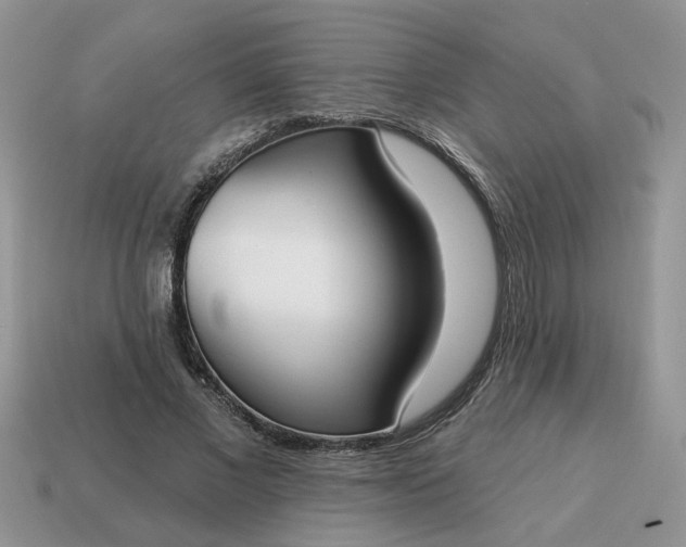 X0000115050685200911091425