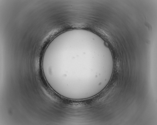 X0000115050686200911091425