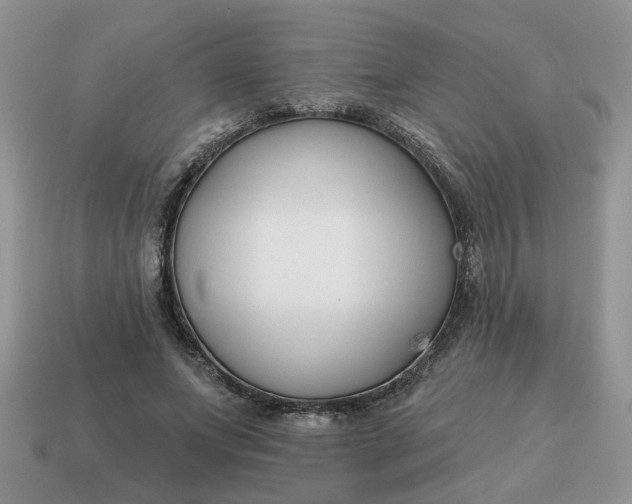 X0000115050687200911091425