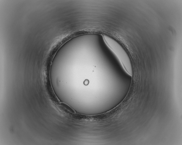 X0000115050688200911091425