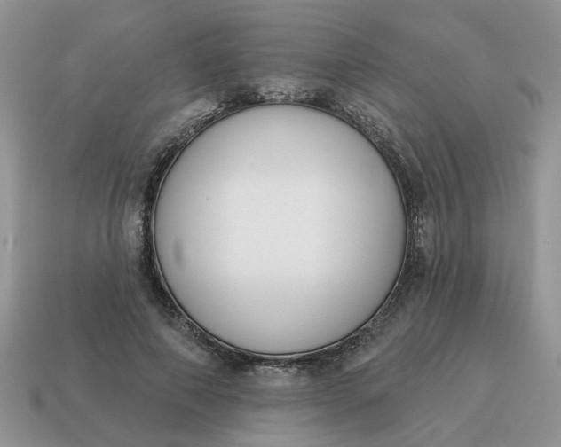 X0000115050690200911091425