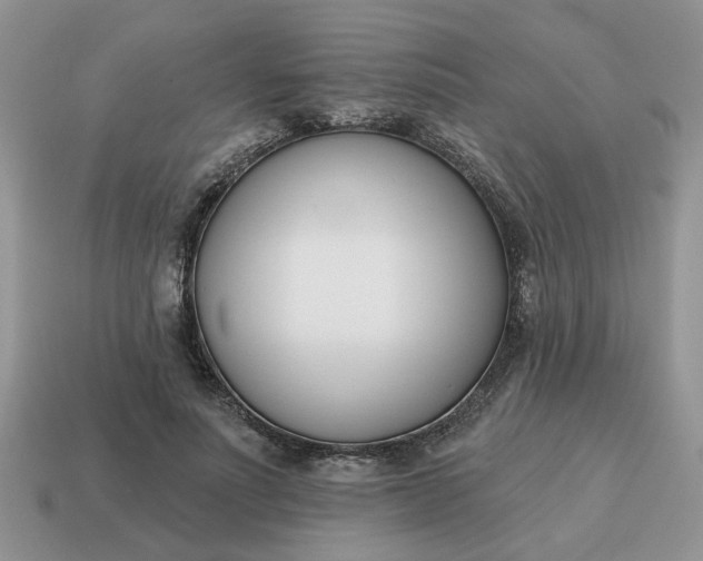 X0000115050691200911091425