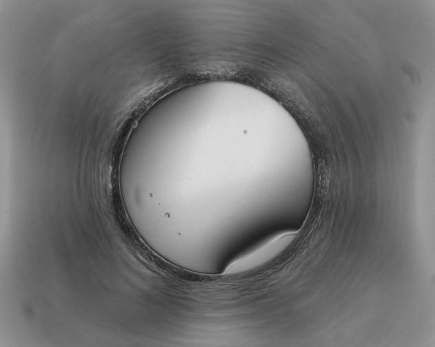 X0000115050692200911091425