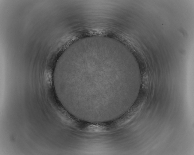 X0000115050699200911091425