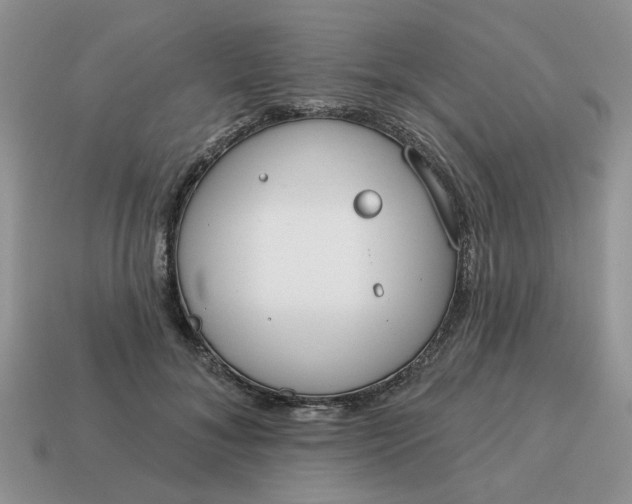 X0000115050700200911091425