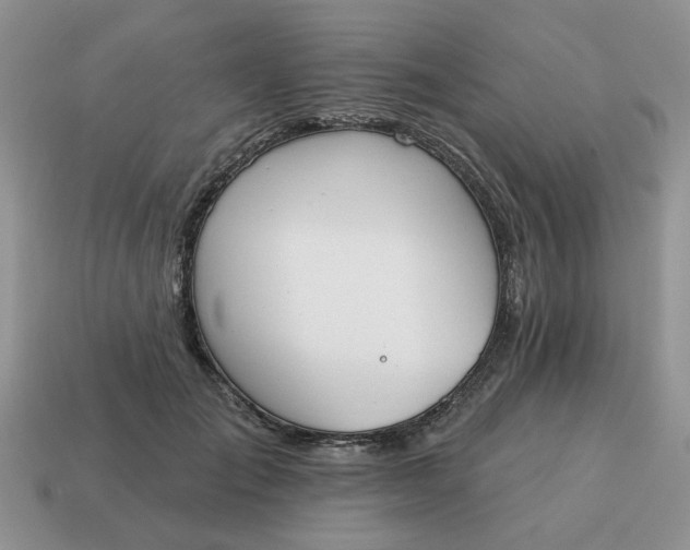 X0000115050701200911091425