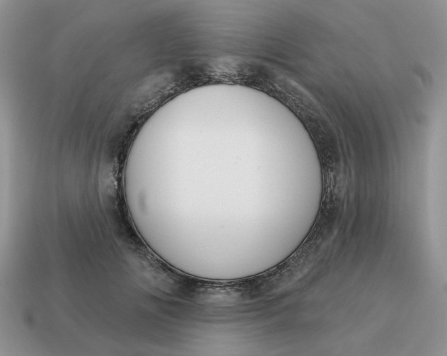 X0000115050702200911091425