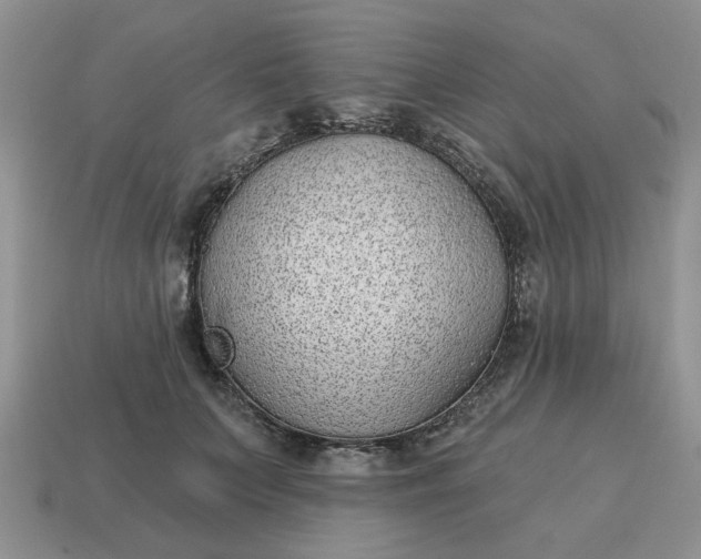 X0000115050703200911091425