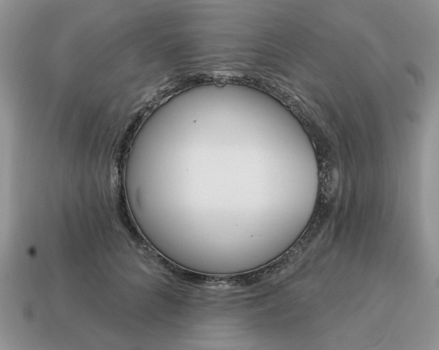 X0000115050704200911091425