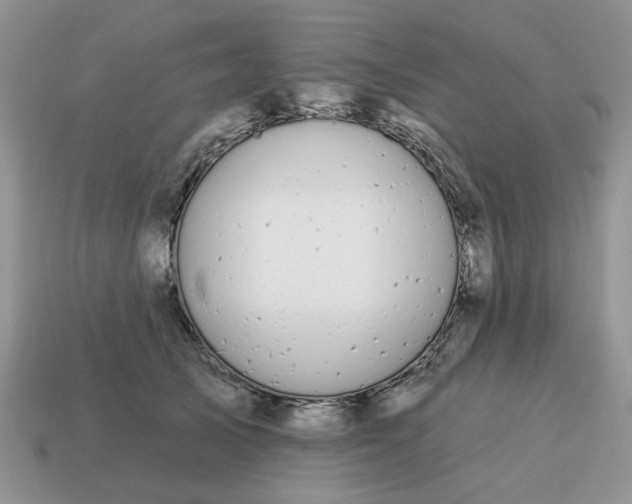 X0000115050705200911091425