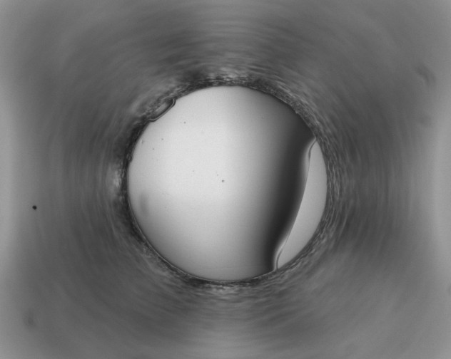 X0000115050709200911091425