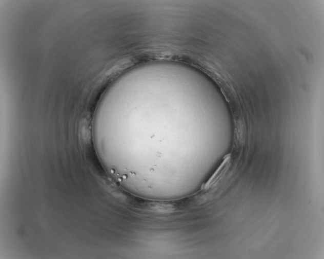 X0000115050719200911091425