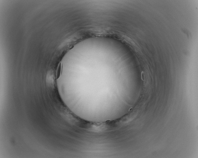 X0000115050720200911091425