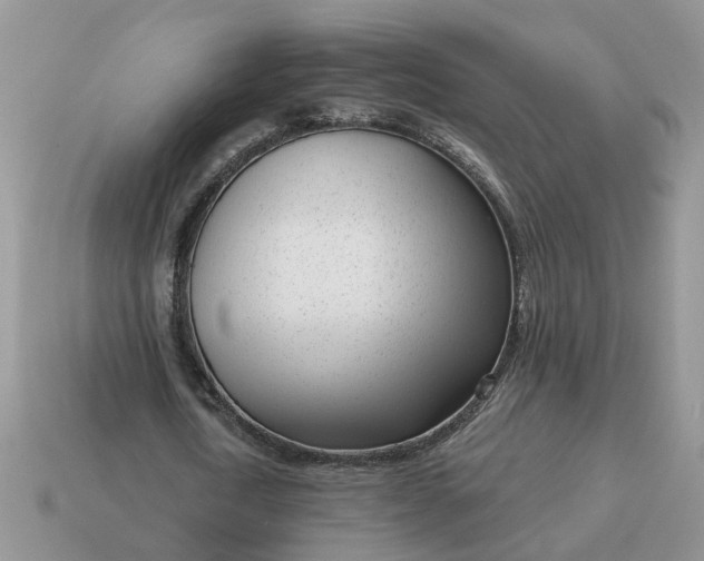 X0000115050722200911091424