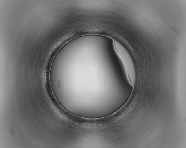 X0000115050725200911091424