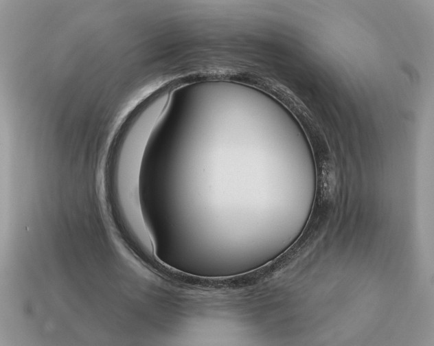 X0000115050726200911091424