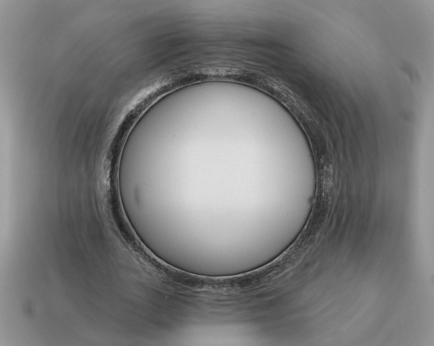 X0000115050727200911091424
