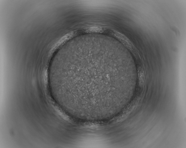 X0000115050729200911091425
