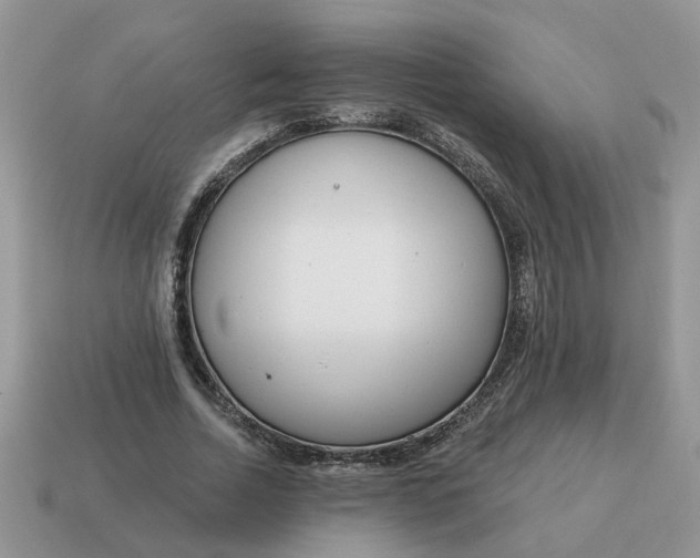 X0000115050730200911091425