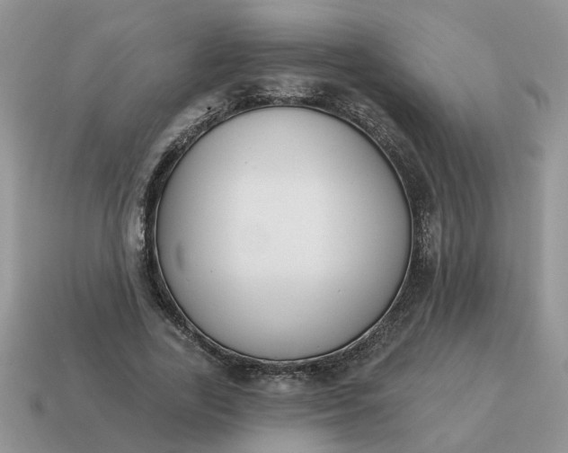 X0000115050731200911091425