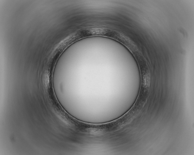 X0000115050733200911091425
