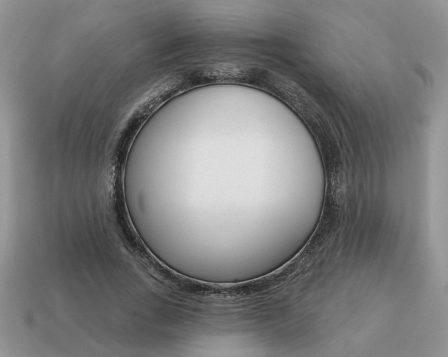 X0000115050735200911091425