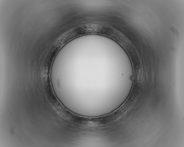 X0000115050737200911091425