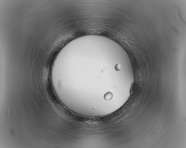 X0000115050742200911091425