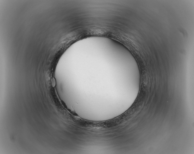 X0000115050743200911091425