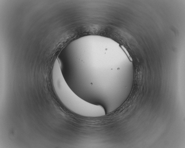 X0000115050750200911091425