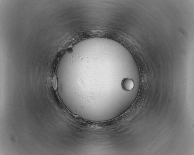 X0000115050751200911091425